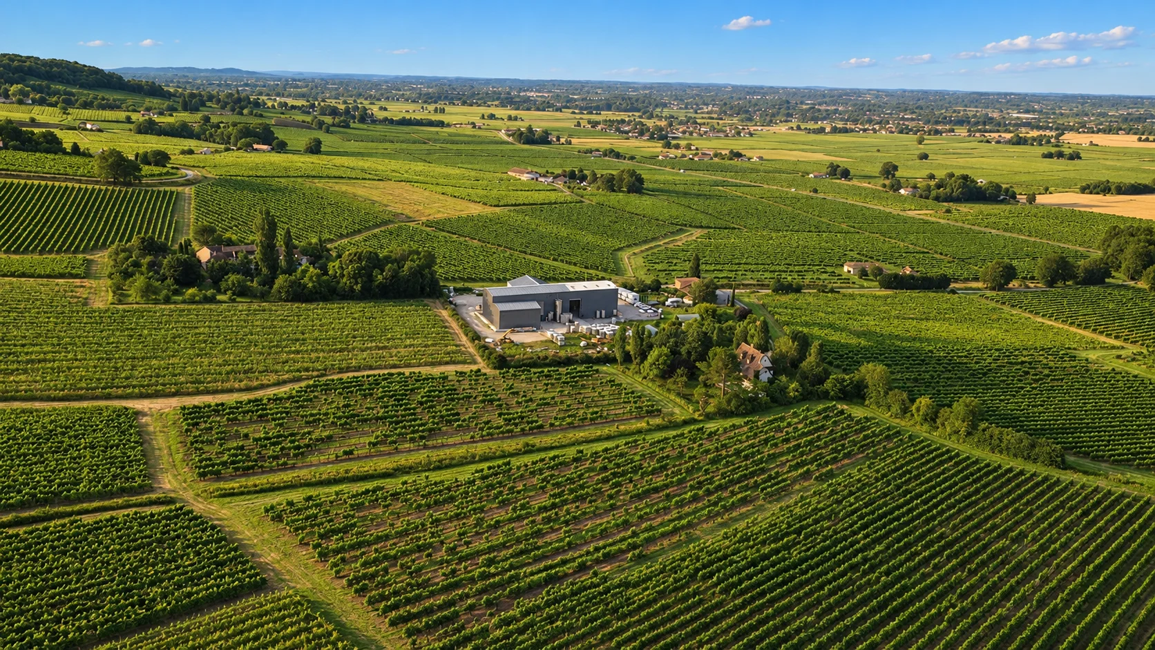 Monbazillac AOC, re-rendered from an openly licensed photo (Summer · Brochure blue · Golden hour)