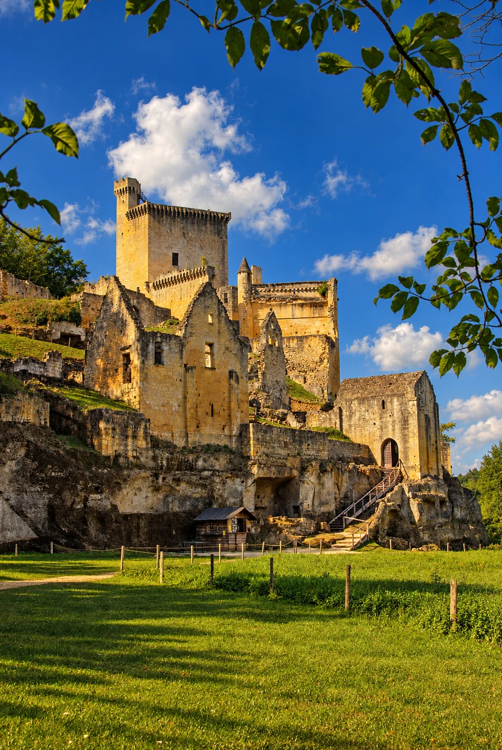The keep and ruined buildings of Château de Commarque rise above a grassy foreground framed by leafy branches.