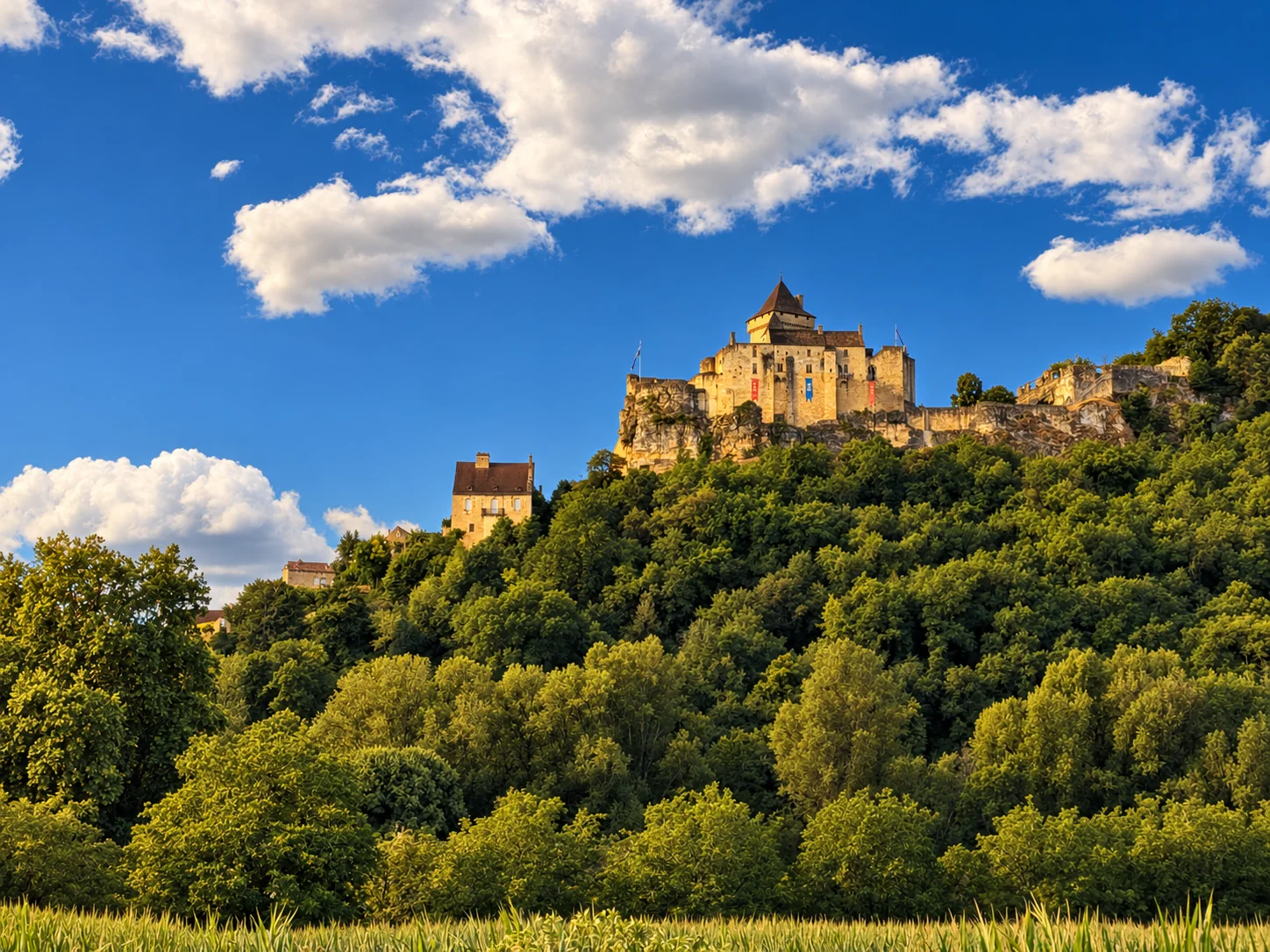 Castelnaud Chateau