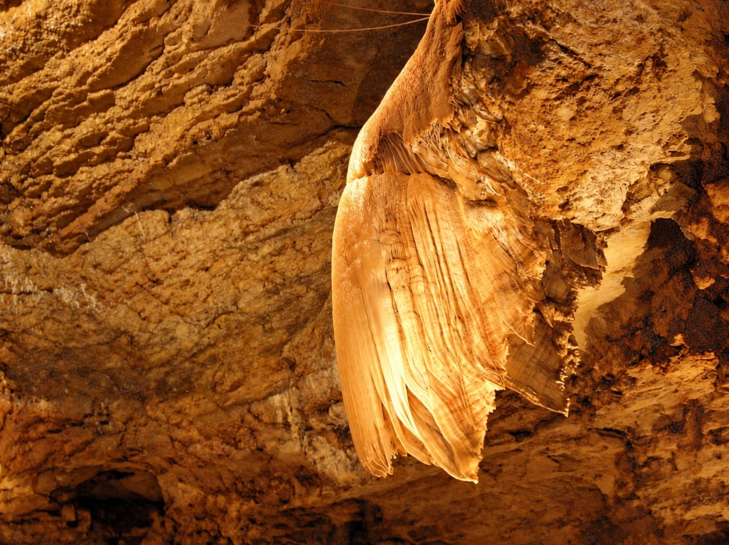 A backlit calcite curtain hangs from the cavern roof inside the Gouffre de Proumeyssac.