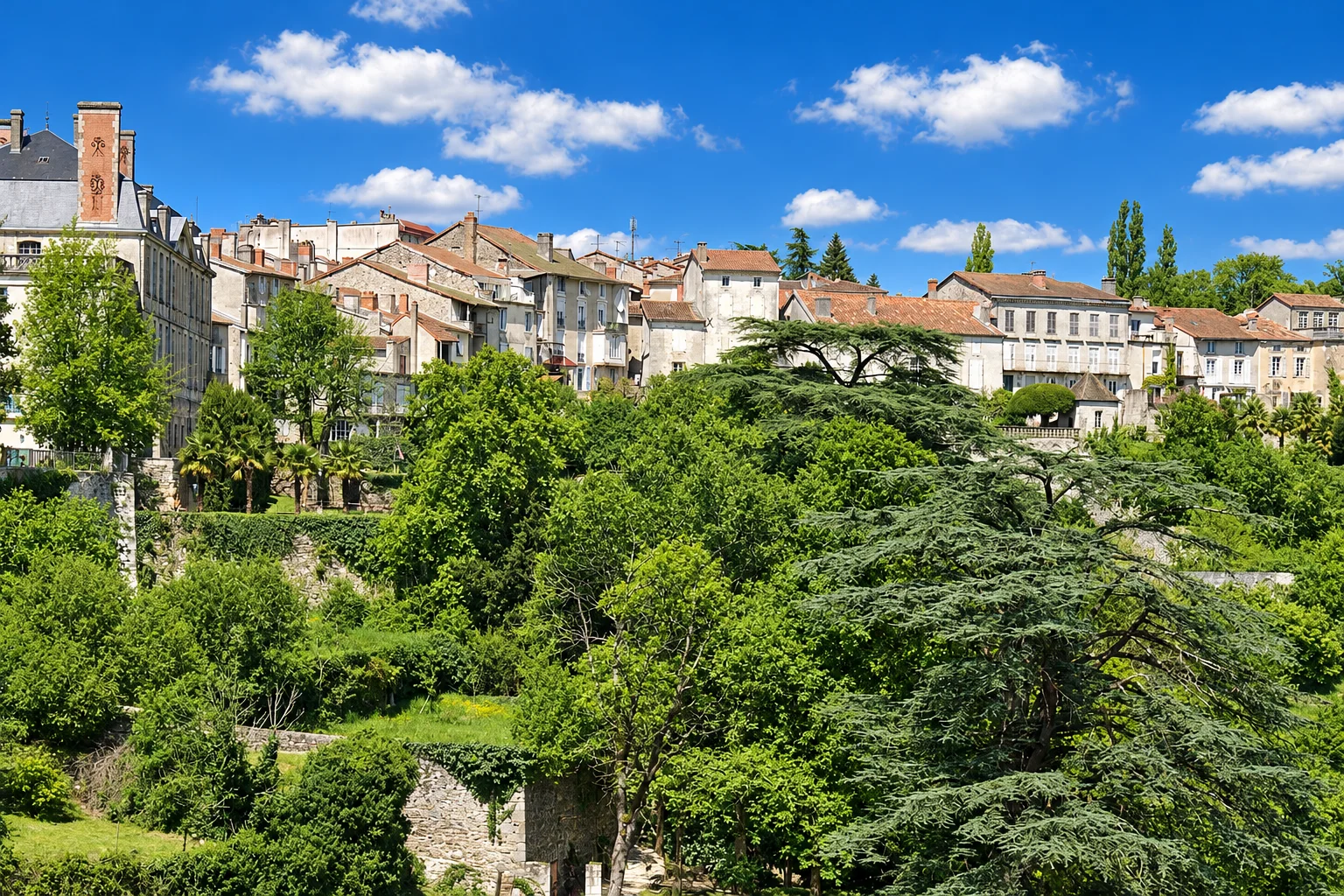 Houses in Nontron overlook terraced gardens and a large spreading cedar.